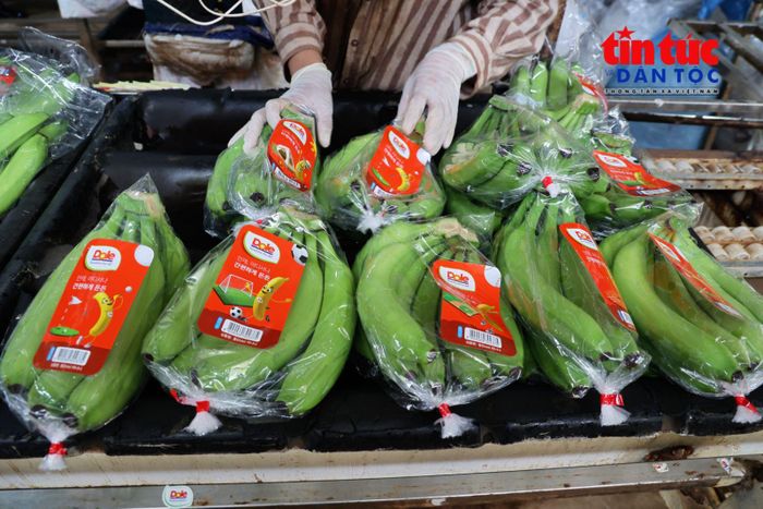 Truy xuất nguồn gốc giúp kết nối dữ liệu từ khâu sản xuất, đóng gói, vận chuyển đến phân phối, góp phần nâng cao hiệu quả quản lý chất lượng hàng hóa.