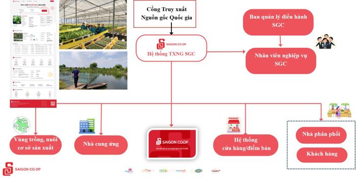 Mô hình truy xuất nguồn gốc chuỗi cung ứng Sài Gòn Co.op Mart.