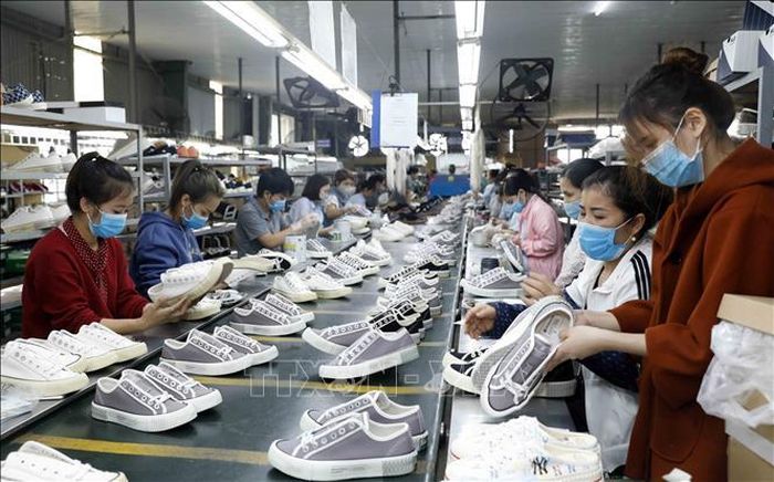 Để tham gia chuỗi cung ứng, ngành da giày buộc phải chuyển đổi sản xuất xanh bền vững. Ảnh: TTXVN
