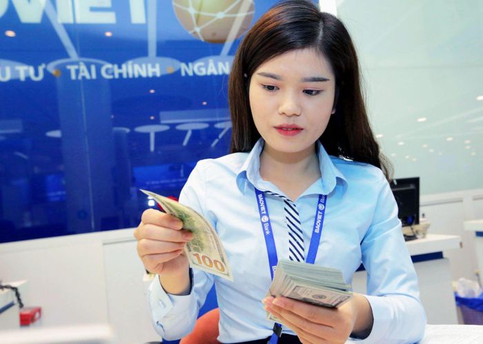 Sáng 13/7, USD và NDT diễn biến trái chiều. Ảnh minh họa: TTXVN