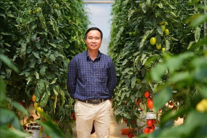 Ông Đặng Văn Niên, Tổng Giám đốc Công ty TNHH Rijk Zwaan Việt Nam khẳng định công tác quy hoạch sản xuất mang tính chiến lược dài hạn là một trong những ưu tiên hàng đầu khi các tổ chức FDI quyết định rót vốn. Ảnh: Diệu Thúy/TTXVN