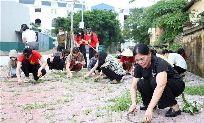 Gần 14.300 hộ dân phường Mỹ Hào đã tự nguyện ký cam kết bảo vệ môi trường, góp phần hình thành nếp sống văn minh ngay từ mỗi gia đình. Ảnh: Thu Hoài/TTXVN