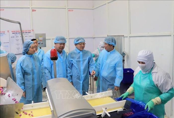 Phó Thủ tướng Hồ Quốc Dũng (giữa) và Bí thư Tỉnh ủy tỉnh An Giang Nguyễn Tiến Hải (thứ 2 từ trái qua) tham quan quy trình sản xuất tại Công ty Cổ phần Rau quả thực phẩm An Giang.