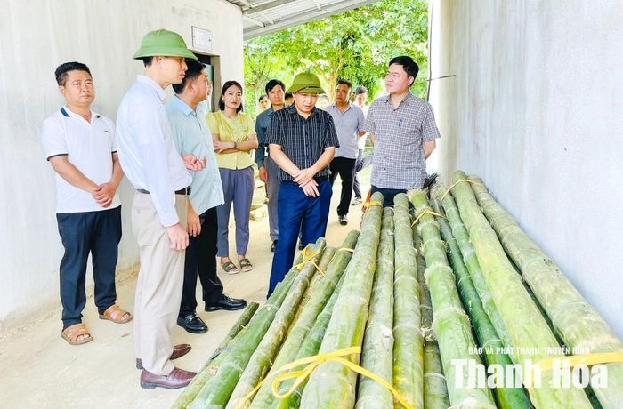 Đoàn công tác kiểm tra thực tế công tác chuẩn bị vật tư, trang thiết bị dự phòng tại xã Cẩm Vân.