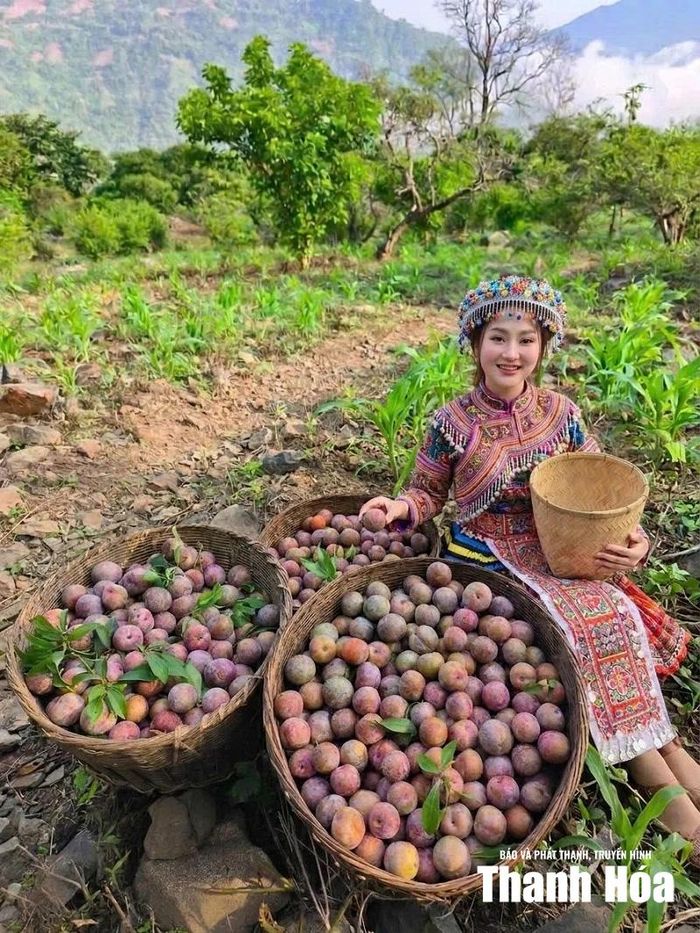 Trên mảnh đất khô cằn, những hạt giống đã nảy mầm, ra hoa, kết trái.