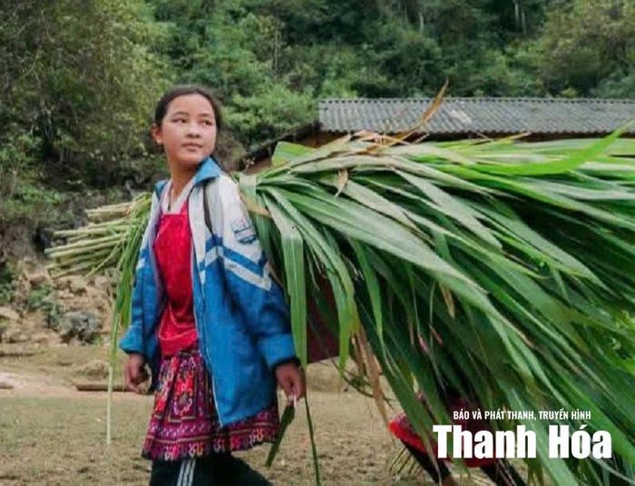 Những bé gái gùi cỏ về để trâu bò có thức ăn.