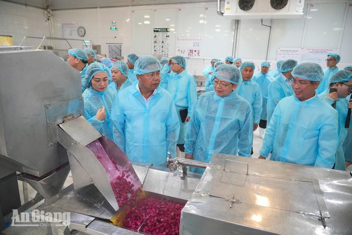 Phó Thủ tướng Chính phủ Hồ Quốc Dũng cùng Bí thư Tỉnh ủy An Giang Nguyễn Tiến Hải và đoàn công tác tham quan dây chuyền chế biến, đóng gói sản phẩm tại nhà máy của Công ty Cổ phần Rau quả thực phẩm An Giang. Ảnh: TÂY HỒ.