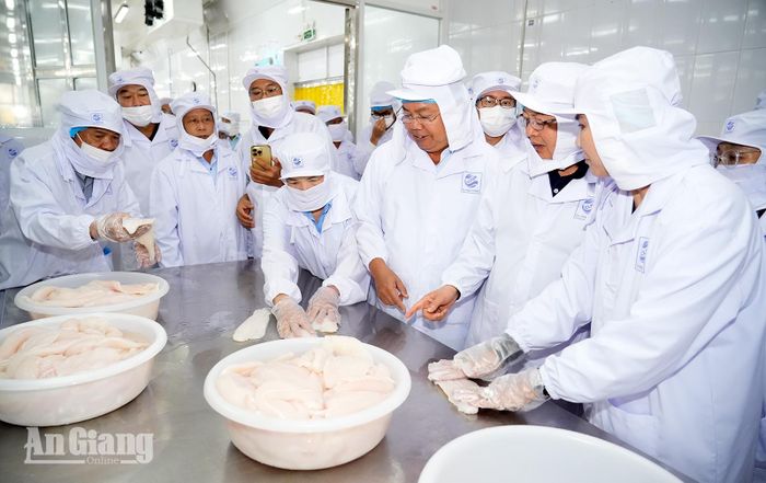 Phó Thủ tướng Chính phủ Hồ Quốc Dũng Bí thư Tỉnh ủy An Giang Nguyễn Tiến Hải và đoàn công tác tham quan dây chuyền chế biến cá phi lê tại Công ty Cổ phần Xuất nhập khẩu thủy sản Cửu Long An Giang. Ảnh: TÂY HỒ.