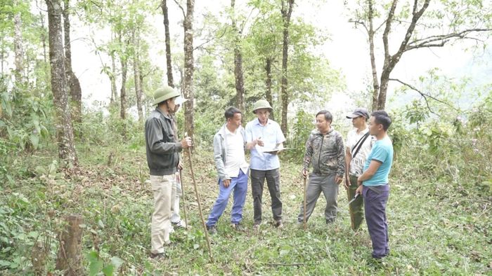 Ban Quản lý rừng phòng hộ Trạm Tấu phối hợp với các địa phương triển khai đo đạc lại diện tích đất rừng.