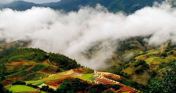 Thung lũng Mường Hoa tại Việt Nam. Ảnh: Internet