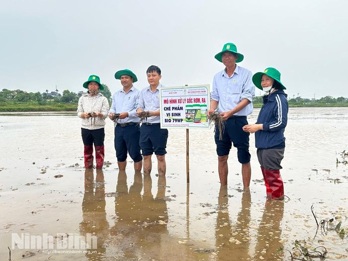 Các thành viên tham gia mô hình trình diễn thí điểm xử lý gốc rơm, rạ bằng sản phẩm Bio 79WP tại phường Hồng Quang (vụ Mùa 2026).