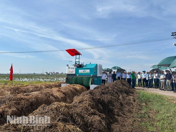 Mô hình xử lý rơm rạ thành phân bón hữu cơ quy mô lớn tại Trung tâm Đổi mới sáng tạo nông nghiệp Xanh (VAG Group), thu hút sự quan tâm của đông đảo chuyên gia và nhà quản lý cùng nông dân.