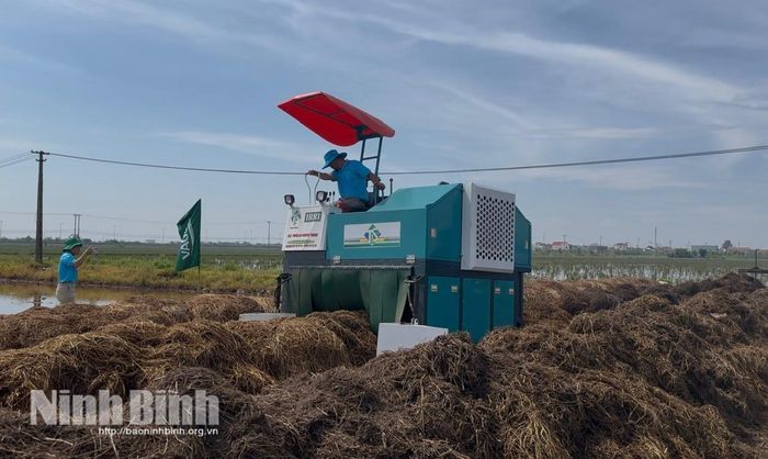 Thiết bị cơ giới hóa hiện đại do Viện Nghiên cứu Lúa gạo Quốc tế (IRRI) chuyển giao đang thực hiện đảo trộn, phun men vi sinh xử lý luống ủ rơm rạ kết hợp phân chuồng.