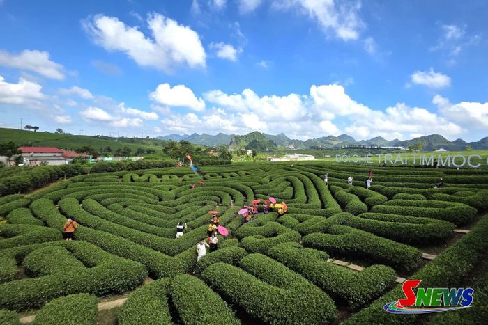 Dịp hè là thời điểm đông đảo du khách đến tham quan Khu du lịch quốc gia Mộc Châu.