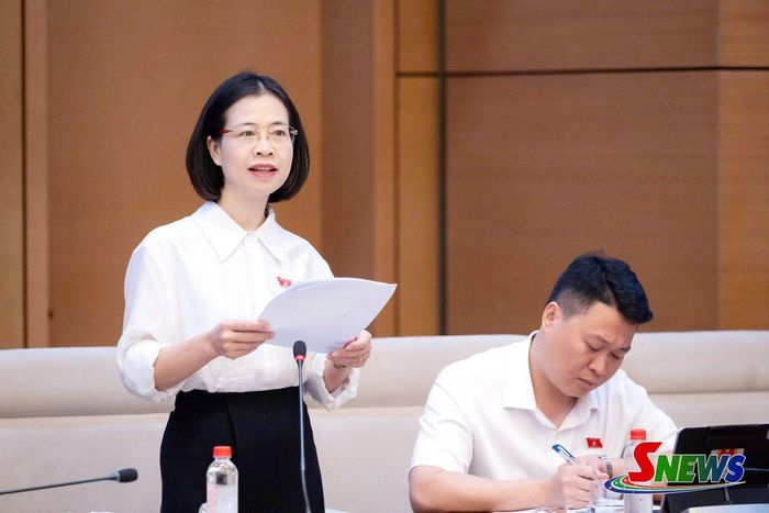 Đại biểu Quốc hội Hoàng Ngân Hoàn phát biểu ý kiến