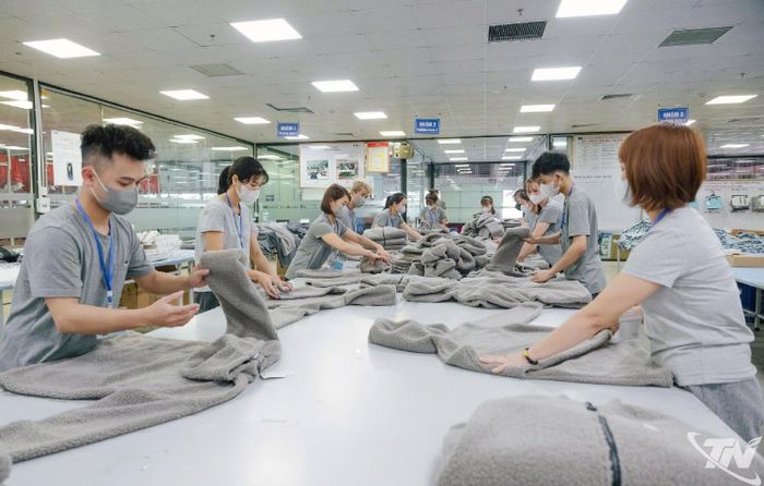 Sản xuất hàng may mặc xuất khẩu tại Công ty CP Đầu tư và Thương mại TNG.