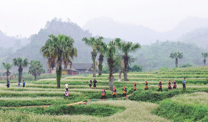 Êm đềm. Ảnh: Quốc Chính