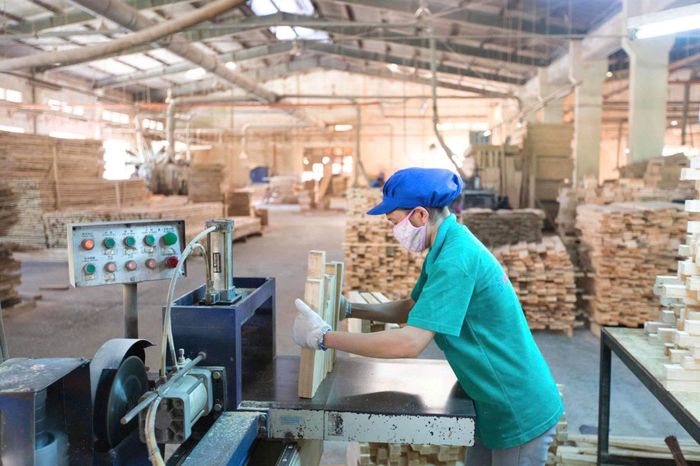 Công ty Cổ phần Việt Trung Quảng Bình luôn đổi mới, sáng tạo, đầu tư mạnh mẽ về công nghệ và nguồn nhân lực.