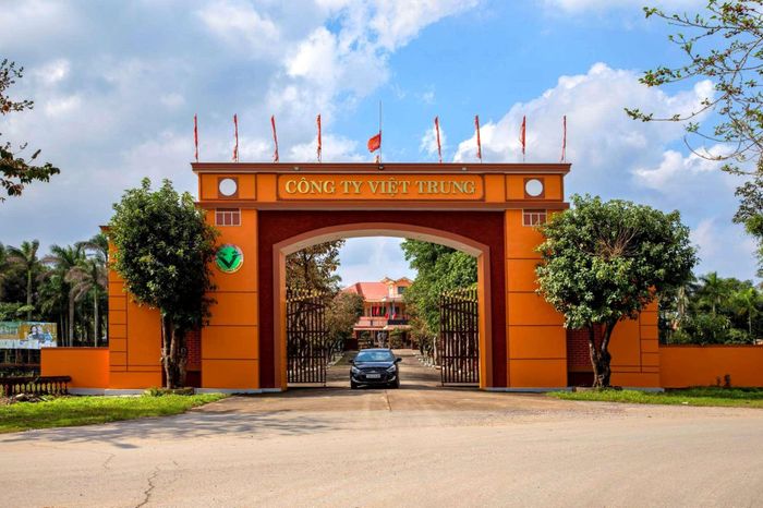 Công ty Cổ phần Việt Trung Quảng Bình (sau đây gọi tắt là Việt Trung Quảng Bình) có địa chỉ tại Tổ dân phố 3, xã Nam Trạch, Tỉnh Quảng Trị