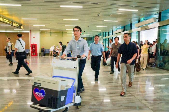 Tim hiến được vận chuyển khẩn trương từ sân bay Nội Bài về Thành phố Hồ Chí Minh. Ảnh: BVCC