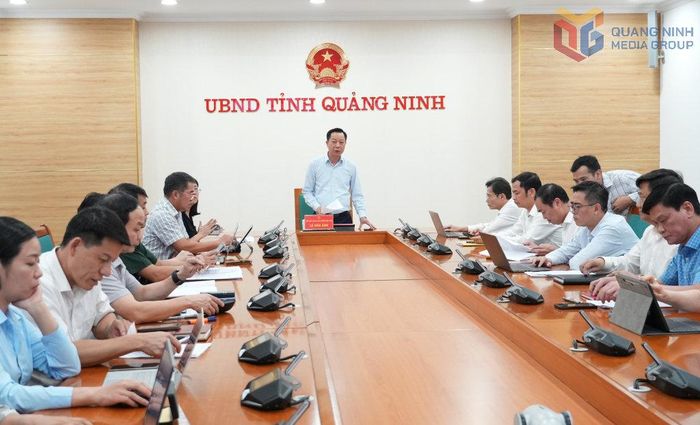 Phó Chủ tịch UBND tỉnh Quảng Ninh Lê Văn Ánh phát biểu kết luận cuộc họp triển khai các nghị quyết được thông qua tại Kỳ họp thứ 6, HĐND tỉnh khóa XV. Ảnh: Q.M.G