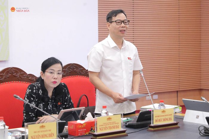 Phó Chủ nhiệm Ủy ban Khoa học, Công nghệ và Môi trường Đỗ Đức Hồng Hà trình bày dự thảo Báo cáo thẩm tra sơ bộ dự án Luật