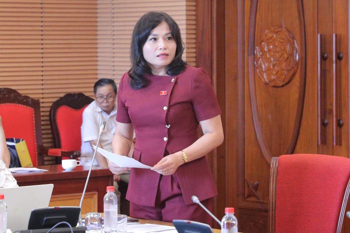 ĐBQH hoạt động Chuyên trách tại Ủy ban Quốc phòng, An ninh và Đối ngoại Thái Quỳnh Mai Dung phát biểu tại phiên họp