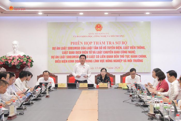 Phó Chủ tịch Quốc hội Nguyễn Hồng Diên phát biểu chỉ đạo tại phiên họp
