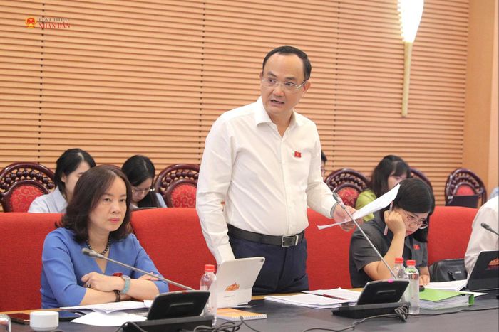 ĐBQH hoạt động chuyên trách tại Ủy ban Khoa học, Công nghệ và Môi trường Nguyễn Ngọc Sơn phát biểu tại phiên họp