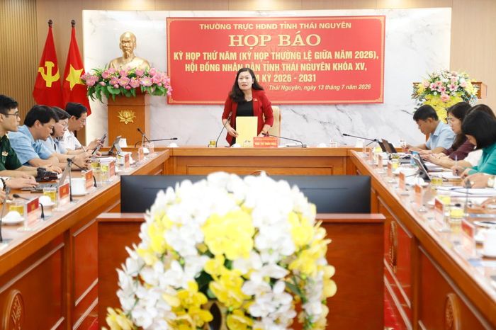 Phó Chủ tịch HĐND tỉnh Thái Nguyên Mai Thị Thúy Nga phát biểu tại buổi họp báo. Ảnh: Đồng Văn Thưởng