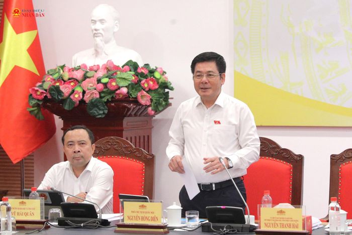Phó Chủ tịch Quốc hội Nguyễn Hồng Diên chủ trì phiên họp
