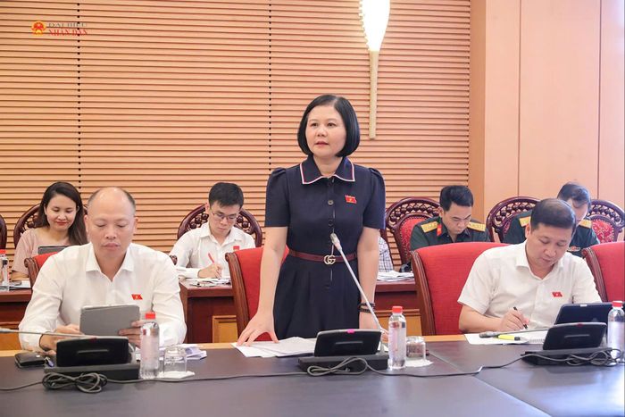 ĐBQH hoạt động chuyên trách tại Ủy ban Quốc phòng, An ninh và Đối ngoại Trần Thị Hồng An phát biểu