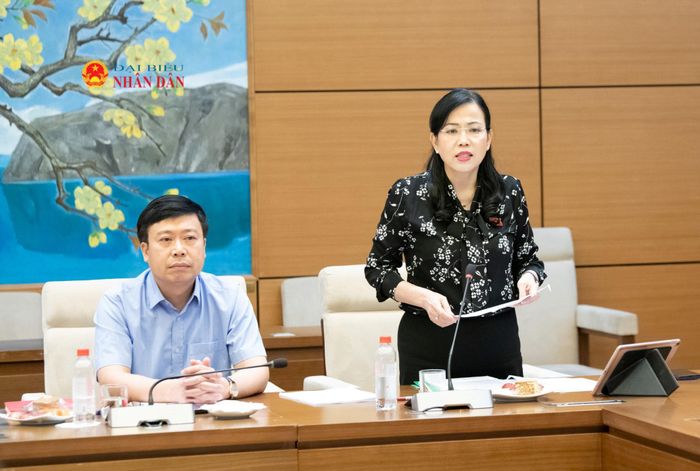 Chủ nhiệm Ủy ban Khoa học, công nghệ và Môi trường Nguyễn Thanh Hải phát biểu