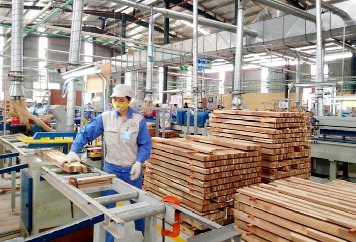 Để chủ động, doanh nghiệp cần nâng cao năng lực quản trị, minh bạch chuỗi cung ứng, truy xuất nguồn gốc, đồng thời đa dạng hóa thị trường xuất khẩu.
