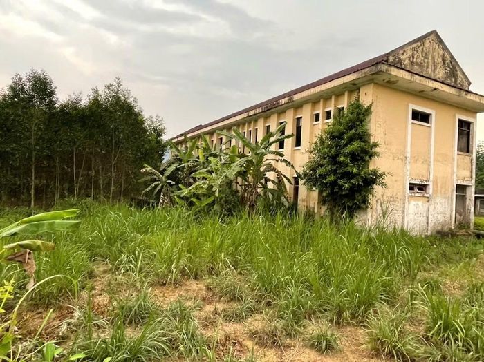 Tòa nhà làm việc của dự án để hoang hóa, cỏ mọc um tùm