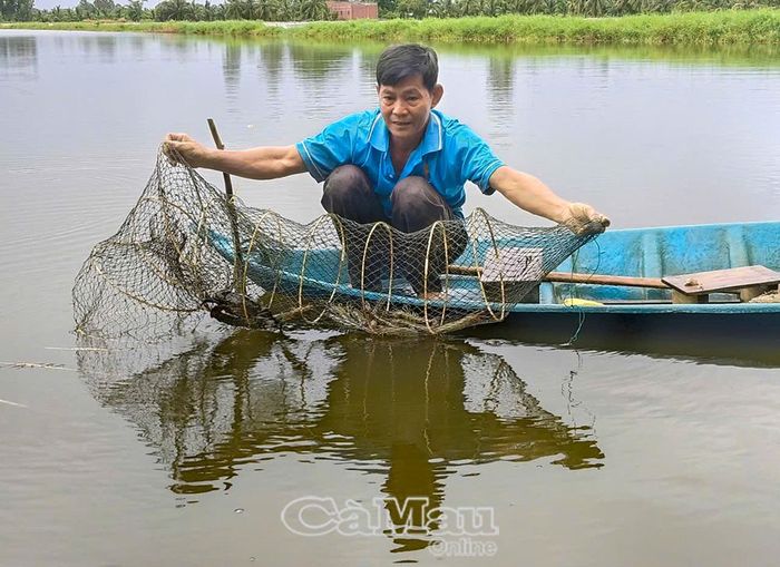 Gia đình ông Ðào Công Mau (ấp Tà Ky, Xã Hồng Dân) có nguồn thu nhập cao, ổn định từ nuôi tôm 2 giai đoạn kết hợp cua, cá.