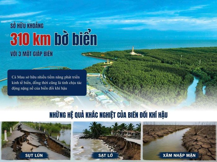 Thiết kế: LÊ TUẤN