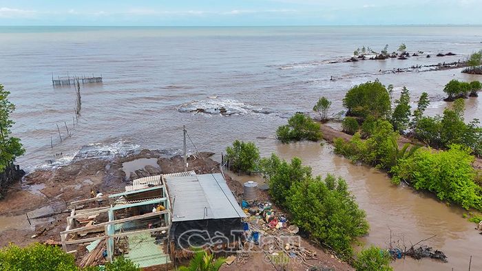 Sóng biển đã lấy mất 5 ha đất sản xuất và căn nhà của gia đình ông Nguyễn Văn Tẻo (ấp Chợ Thủ B, xã Tân Ân, tỉnh Cà Mau).