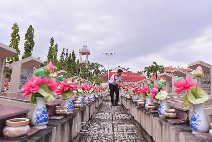 Toàn bộ hoa cũ được thu gom để thay mới đồng loạt.