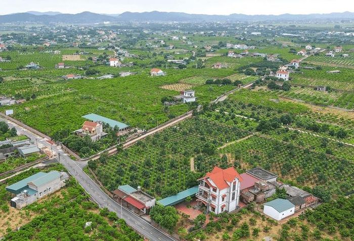 Ảnh minh họa.