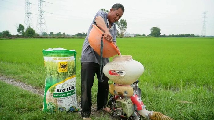 Ông Trầm Văn Thậm chuẩn bị bón phân Đầu Trâu Bio Lúa 1 cho ruộng lúa nếp IR4625 của gia đình, kỳ vọng cải tạo đất, giúp cây lúa phát triển khỏe ngay từ đầu vụ.