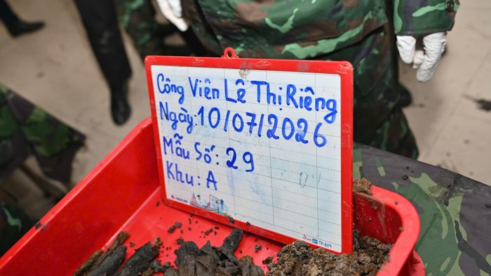 Di vật và hài cốt được tìm thấy