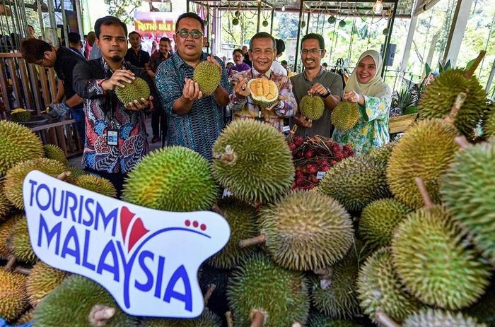 Để giảm bớt lượng hàng tồn, Cơ quan Tiếp thị Nông sản Liên bang Malaysia triển khai chương trình thu mua khoảng 1.000 tấn sầu riêng thông qua 42 trung tâm thu mua
