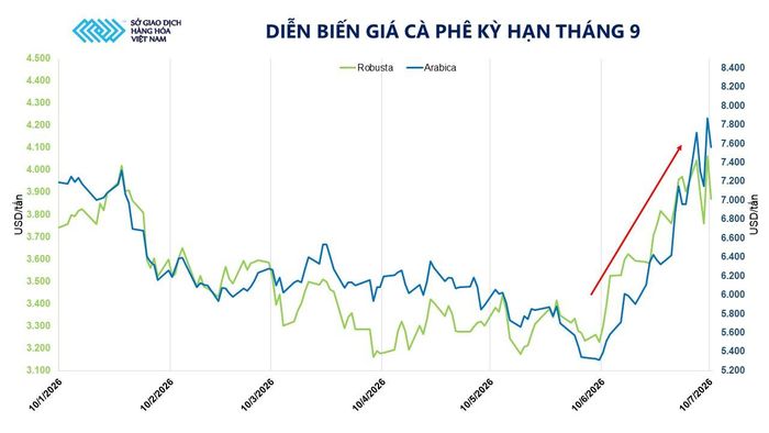 Diễn biến giá cà phê kỳ hạn tháng 9. Nguồn: MXV