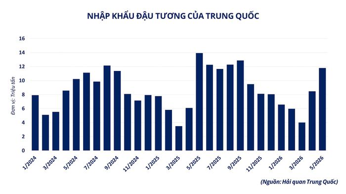 Nhu cầu nhập khẩu đậu tương của Trung Quốc. Nguồn: MXV