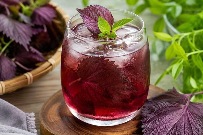 Theo y học cổ truyền và cả các nghiên cứu của y học hiện đại, lá tía tô có nhiều lợi ích đối với sức khỏe.