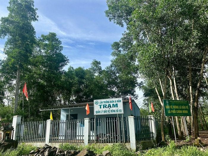 Đáng chú ý vị trí xảy ra vụ phá rừng chỉ cách Trạm QLBVR số 3 của Công ty TNHH Lâm nghiệp Buôn Ja Vầm chưa đầy 1km