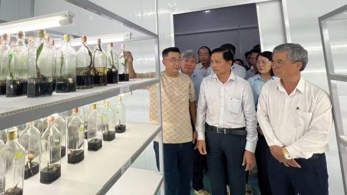 Tỉnh Vĩnh Long tập trung ứng dụng công nghệ cao trong sản xuất nông nghiệp.