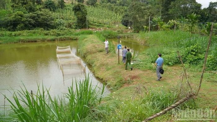 Chính quyền địa phương thành lập Đoàn công tác tổ chức kiểm tra các khu vực có nguy cơ ảnh hưởng do axit HCl phát tán ra môi trường.