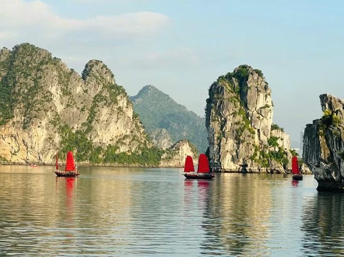 Những chiếc thuyền ba vách Cánh buồm đỏ nổi bật trên biển Quảng Ninh.